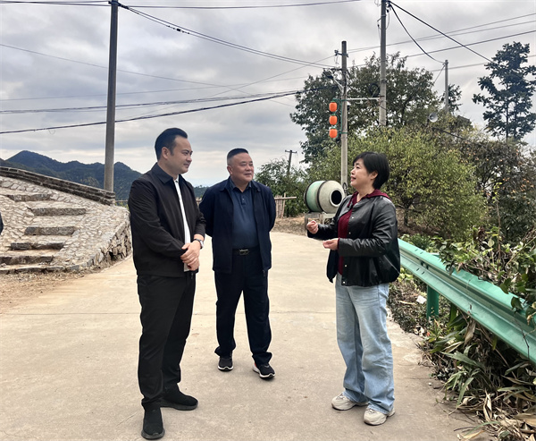 11月5日，县委副书记王坤调研上丰和美乡村建设情况，洪董、吴书记陪同调研。.jpg